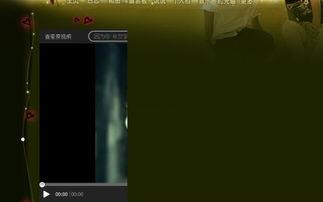 国产大神视频在线播放,在线播放，畅享视听盛宴