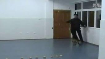 厕所国产美女撒尿视频,揭秘真实生活瞬间