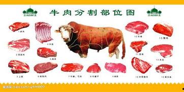 国产牛肉分割过程视频,从原材到成品