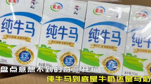国产纯牛奶开箱视频下载,新鲜滋味尽在这一箱