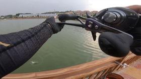 国产路亚杆排名视频,揭秘年度热门排行榜