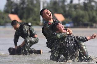 国产特种兵表演视频,国产特种兵实战技能精彩展示