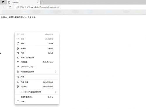 pc视频翻译字幕软件国产
